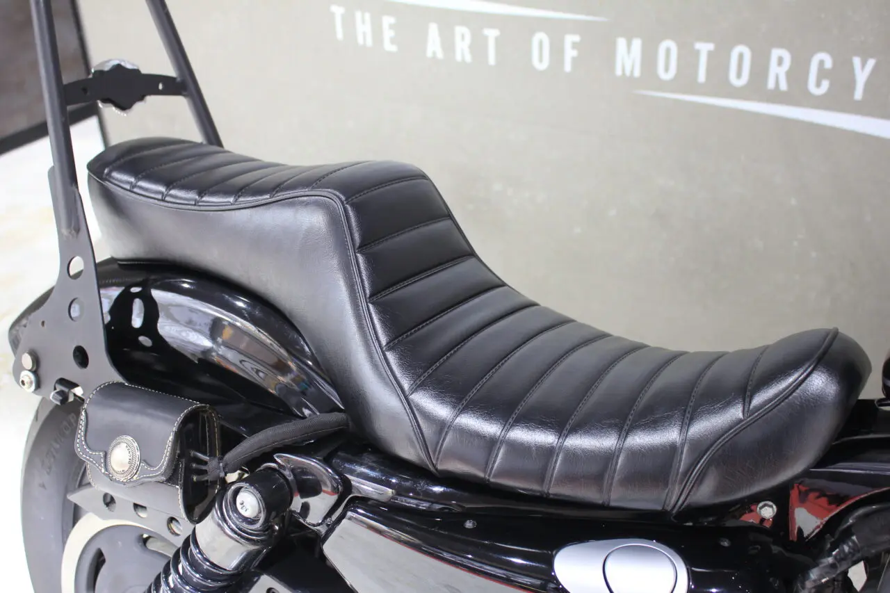 XL1200N ナイトスター | OZ by NEWING